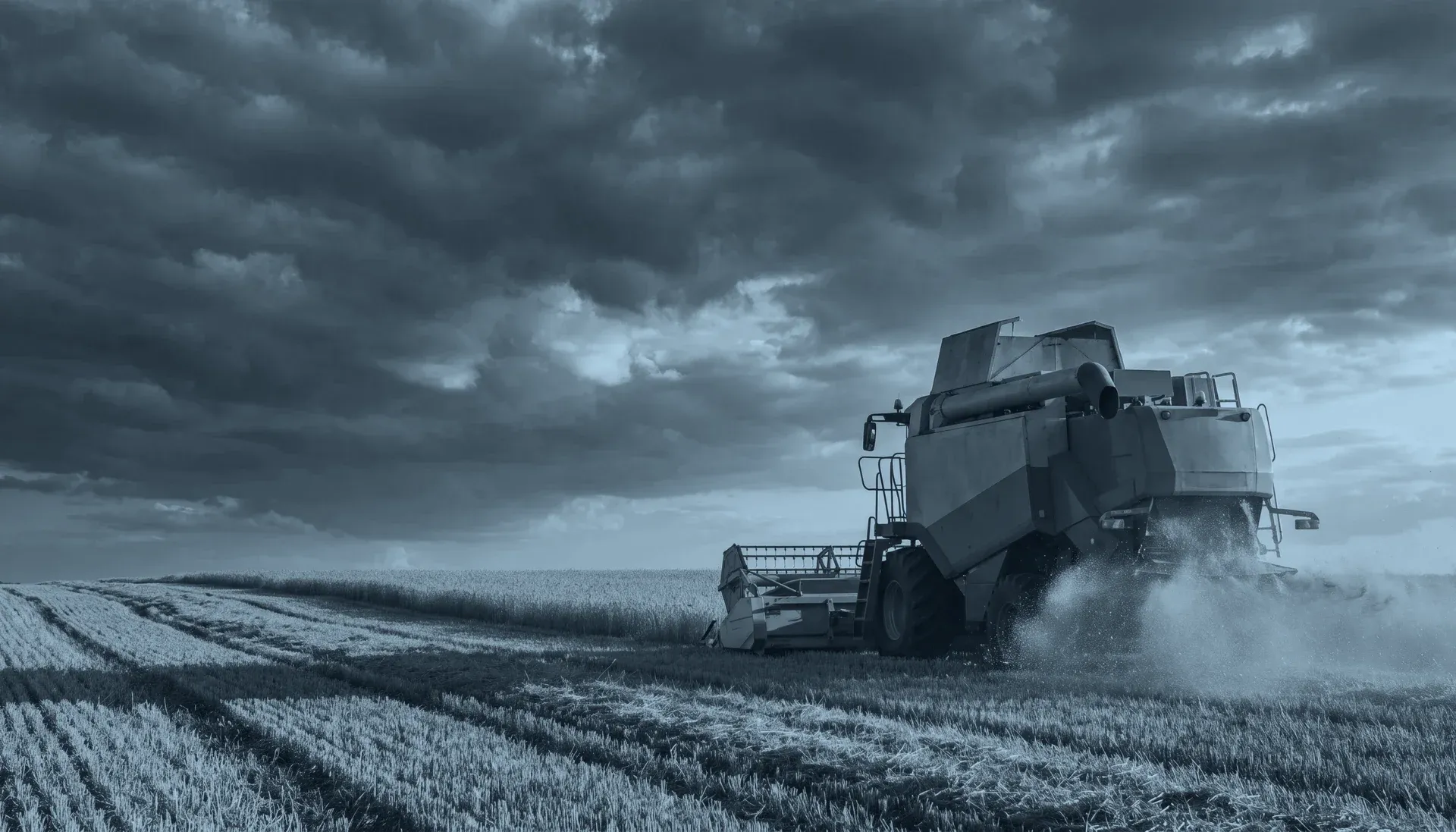 A combine harvester working a wheat field at golden hour